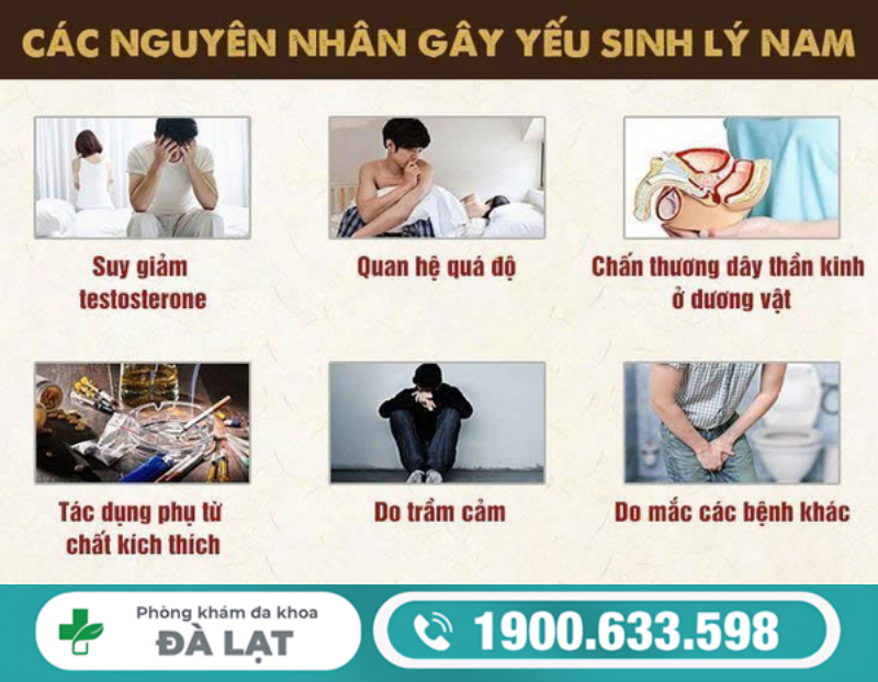 Hình ảnh minh họa
